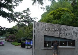 Brooklyn Botanic Garden, a tour guide's recommendation if you move to Brooklyn